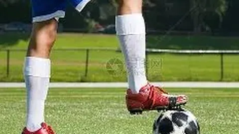 C7娱乐 资讯 131532 b7z